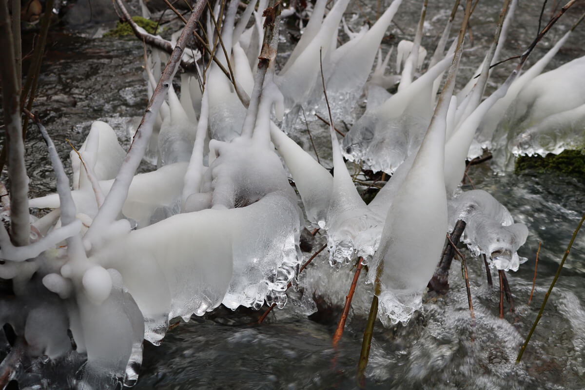 Ice formations on Sampson Creek