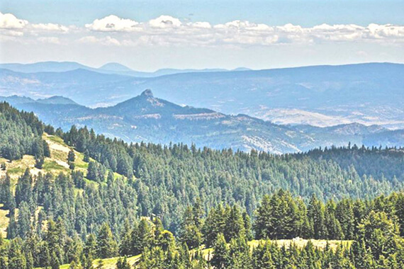 A Review and Synthesis of Ecological Connectivity Assessments Relevant to the Cascade-Siskiyou Landscape in Southwest Oregon and Adjacent California