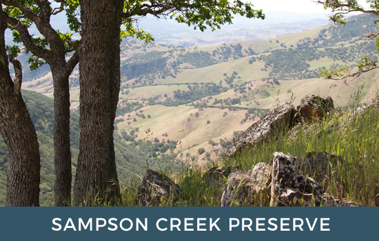 Sampson Creek Preserve